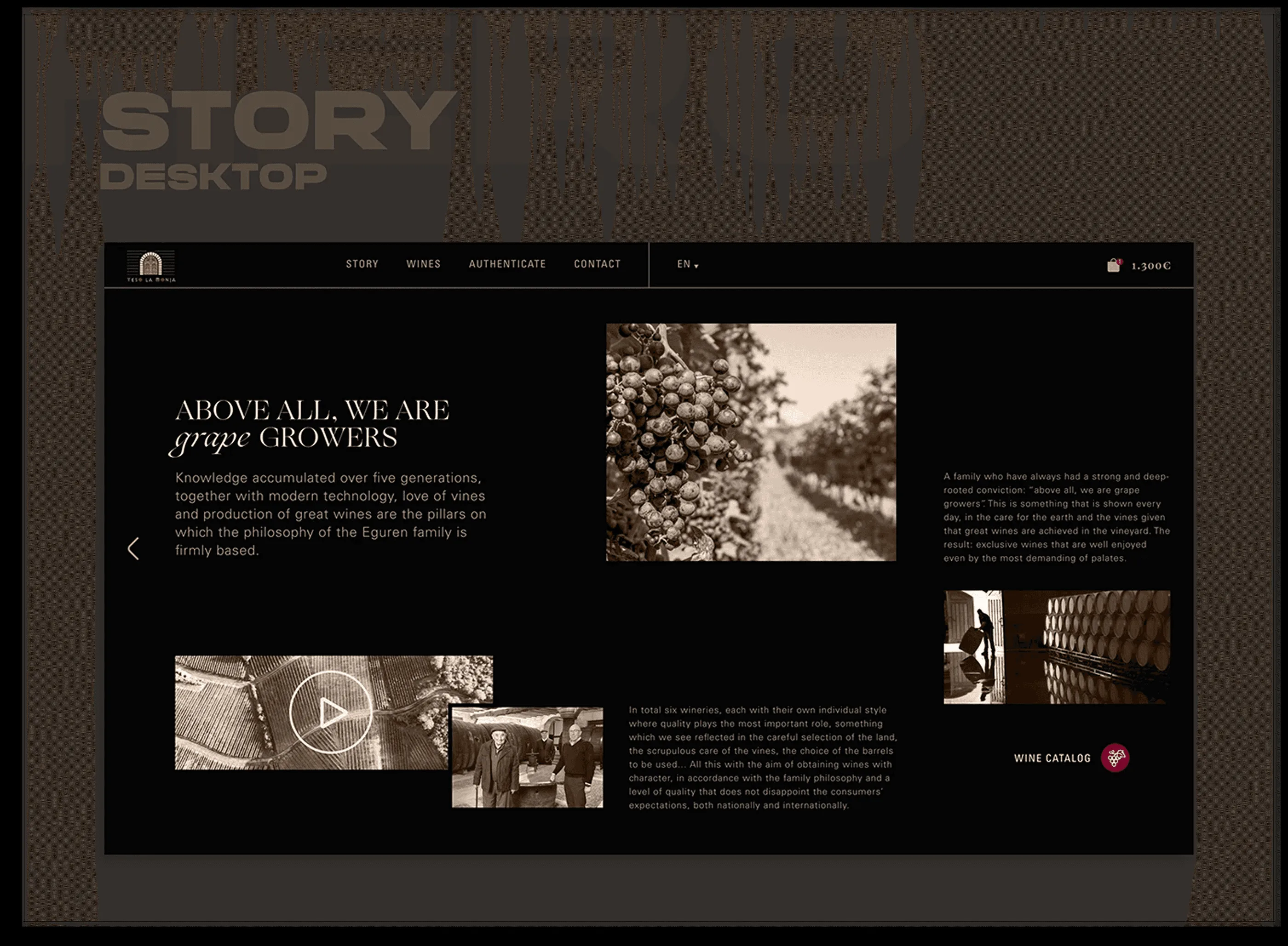 Teso La Monja vineyard story with video and an image grid